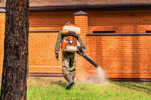 Bed Bug Clearance Verification and Documentation in Bedford
